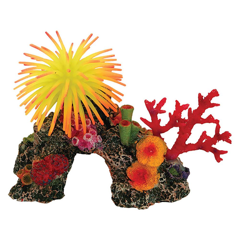 *AQ Coral Reef with Anemone 16.5x11x12cm AQ28225