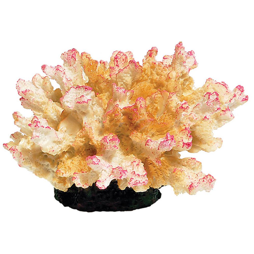 *AQ Coral Pink 10.5 x 9.5 x 6.5cm AQ11026