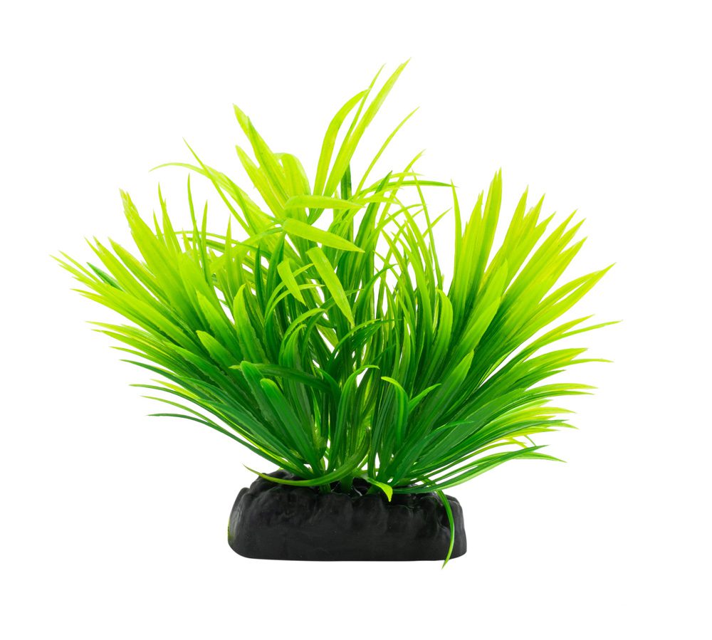 AQ Helanthium Plant Green 10cm 1DA240