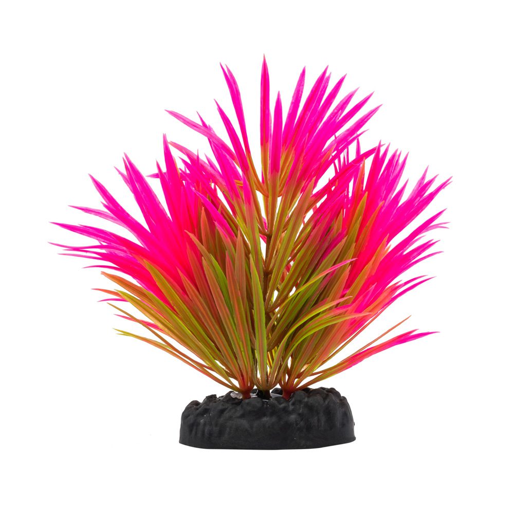 AQ Lilaeopsis Plant Pink 10cm 1DA245