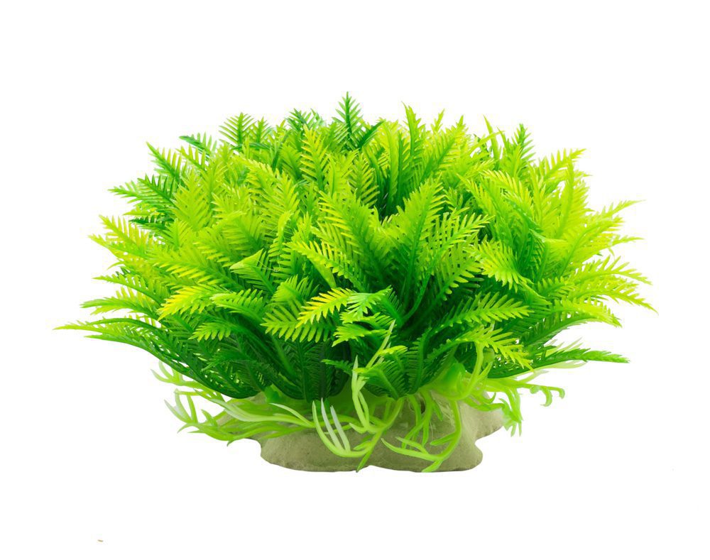 AQ Myriophyllum Green 14cm 1DA247