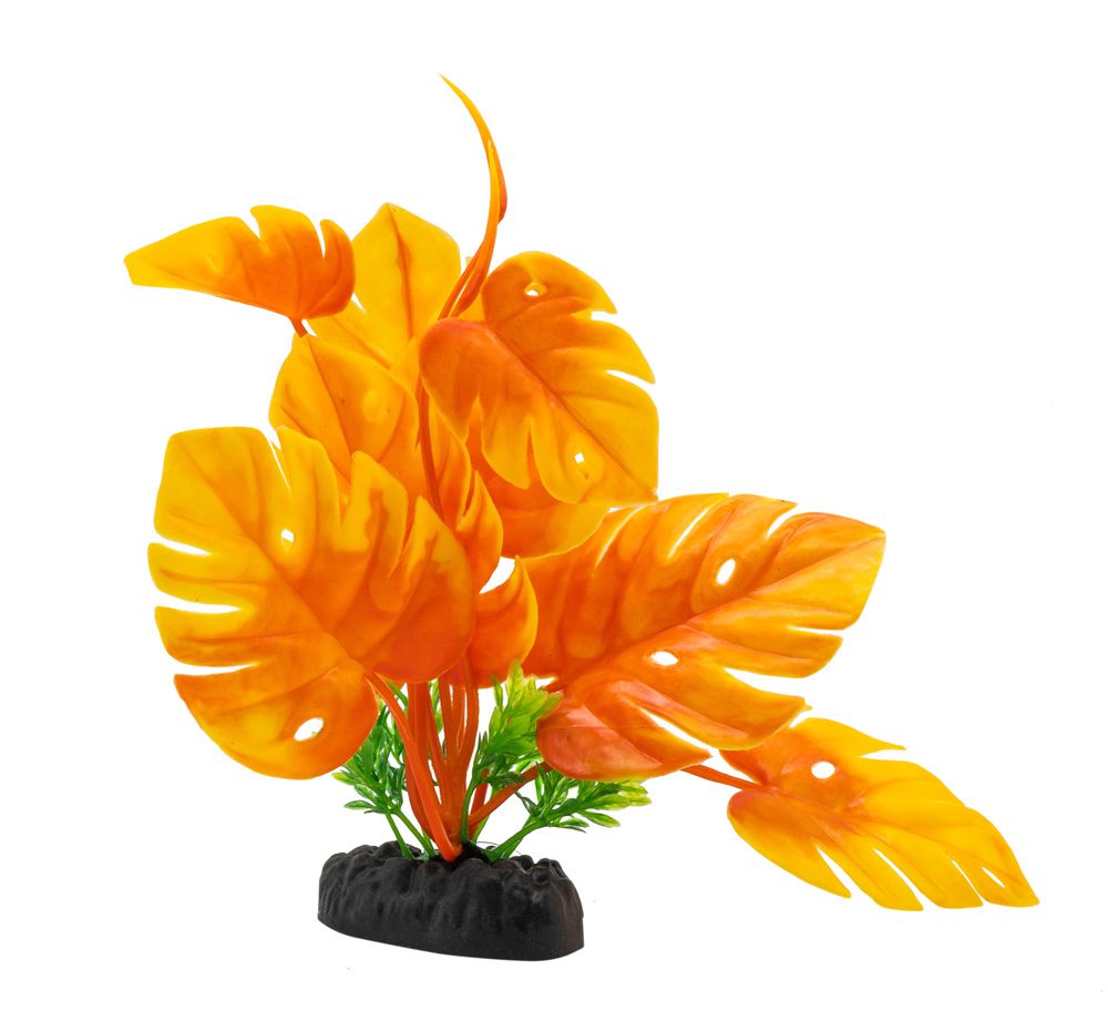 AQ Monstera Plant Orange 20cm 1DA290
