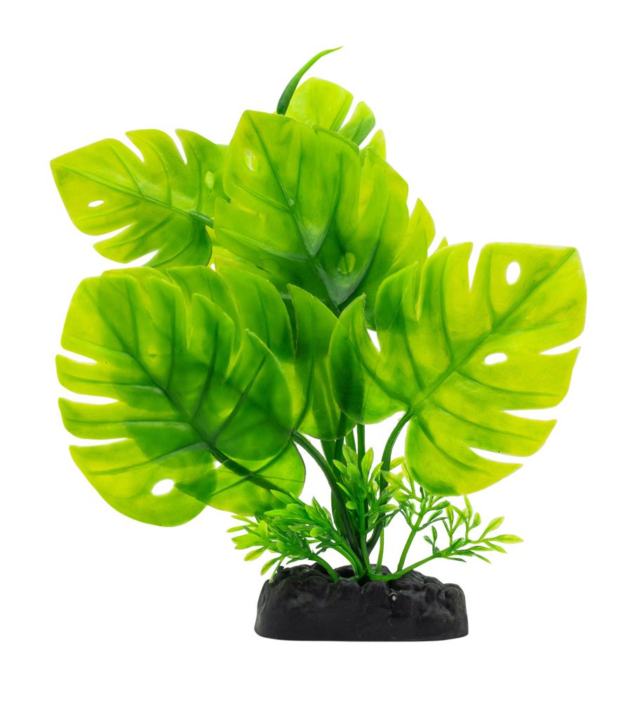 AQ Monstera Plant Green 20cm 1DA293
