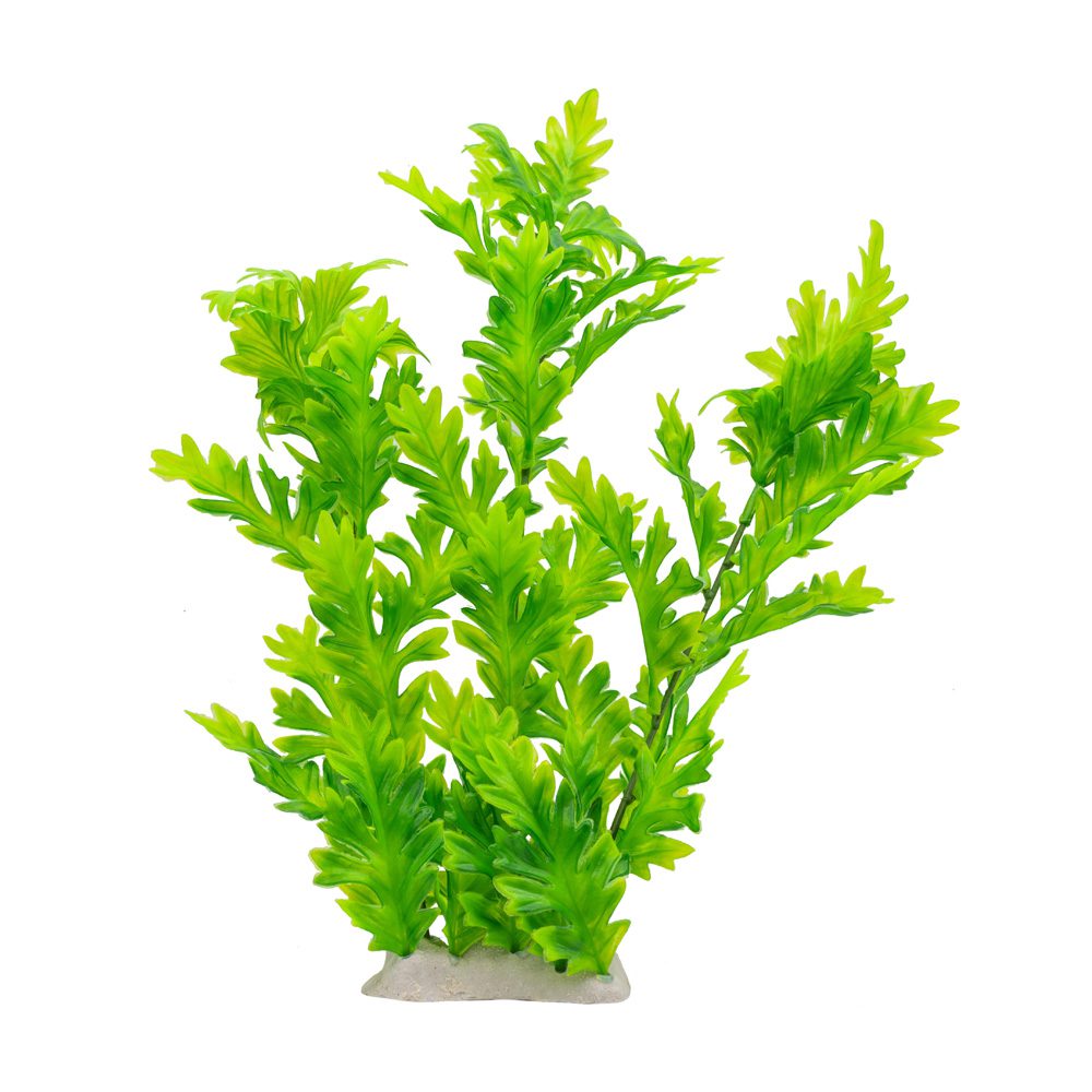 AQ Hygrophila Plant Green 30cm 1DA305