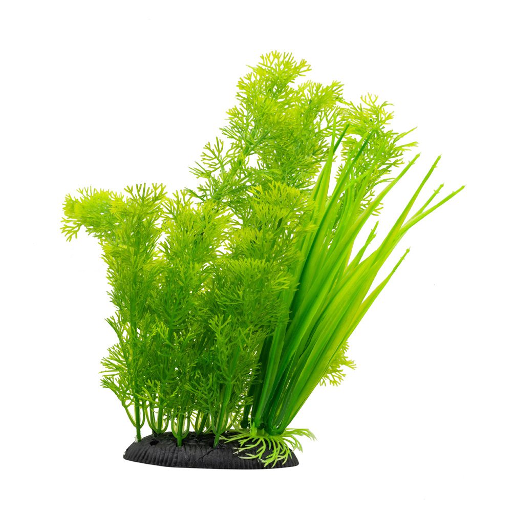 AQ Kabomba Plant Green 30cm 1DA309