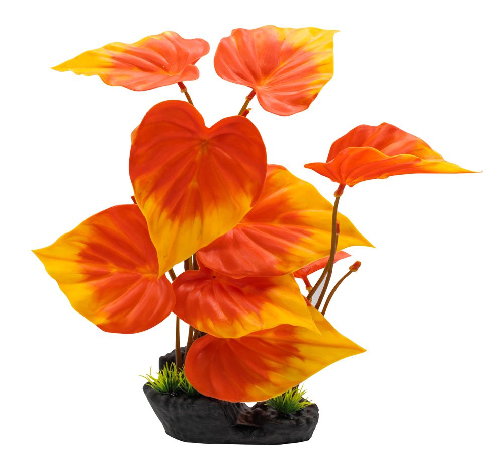 AQ Phylodendron Plant Orange 40cm 1DA321