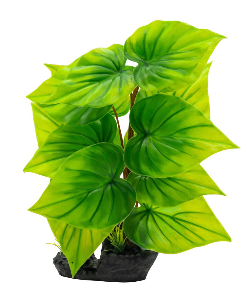 AQ Phylodendron Plant Green 40cm 1DA323