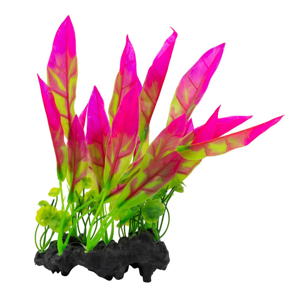 AQ Sword Leaf on Log Bright Pink 26cm 1DA332