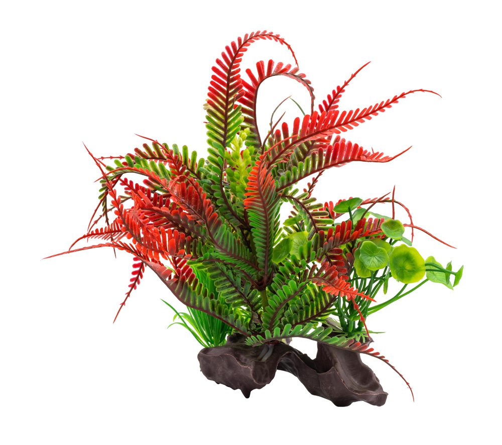 AQ Fern on Log Red 18cm 1DA337