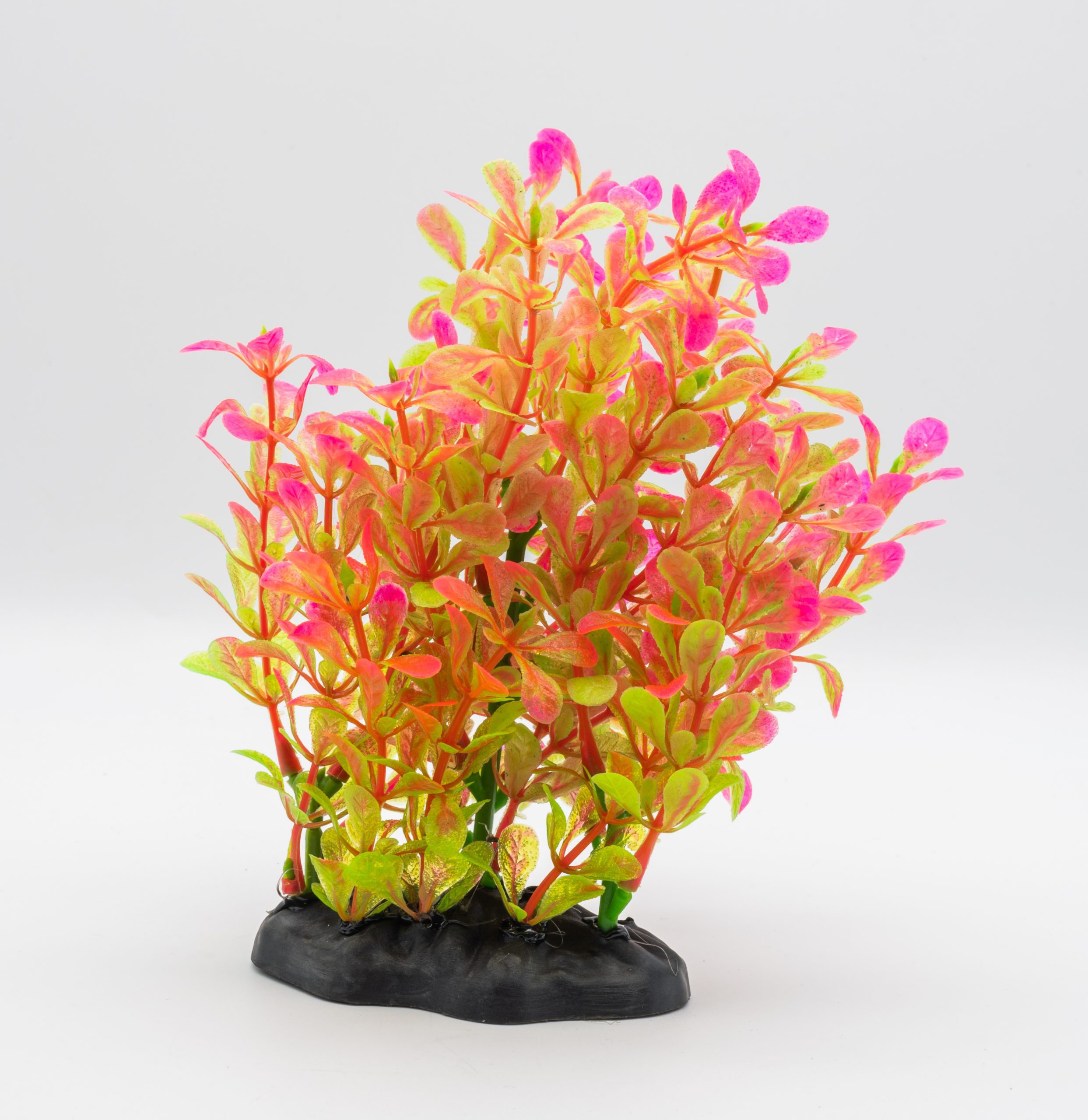AQ Rotala Plant Pink 15cm 1DA465