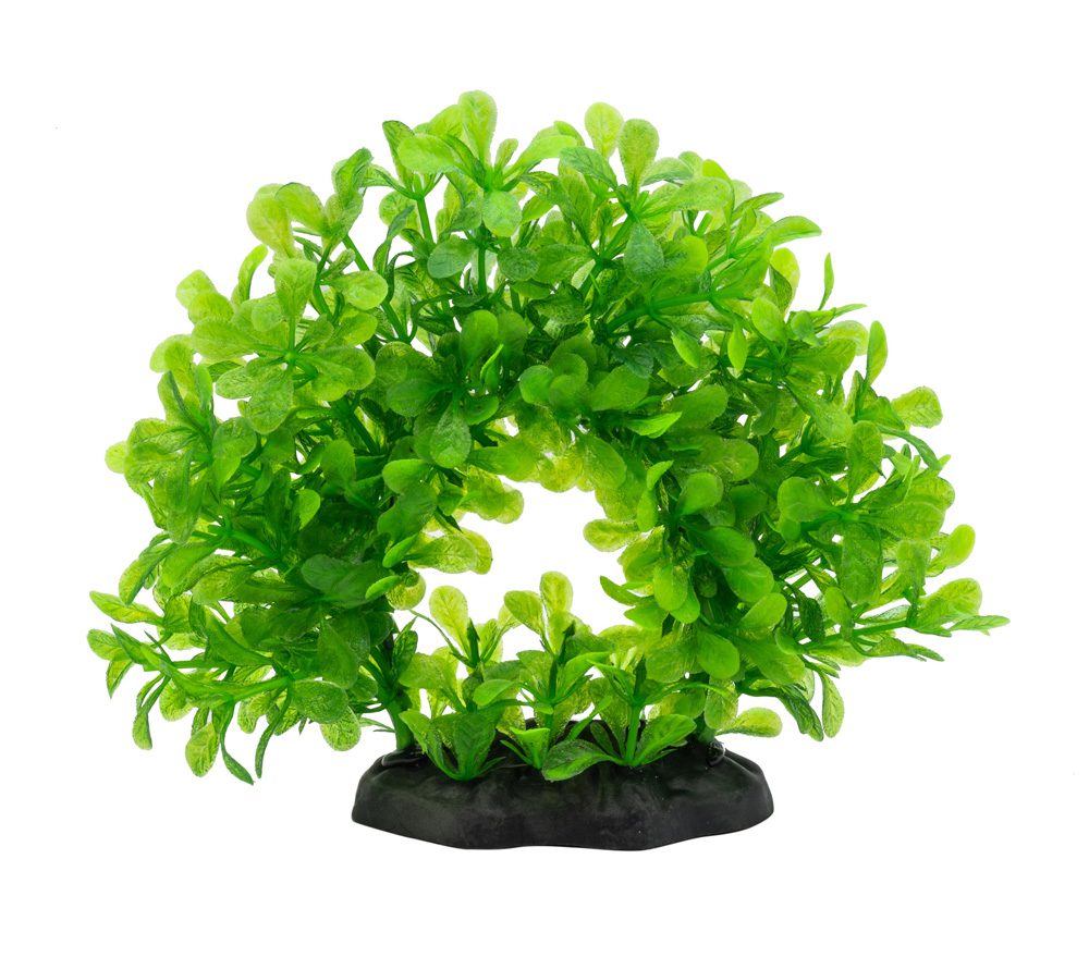 AQ Lindernia Ring Green 15cm 1DA470