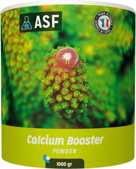 AS Calcium Booster Powder 1kg