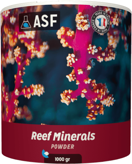 AS Reef Minerals Powder 1kg