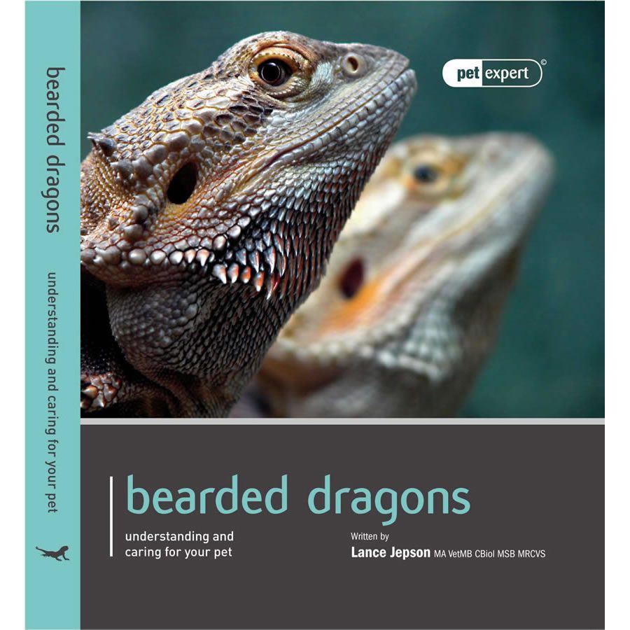 Pet Expert. Bearded Dragons