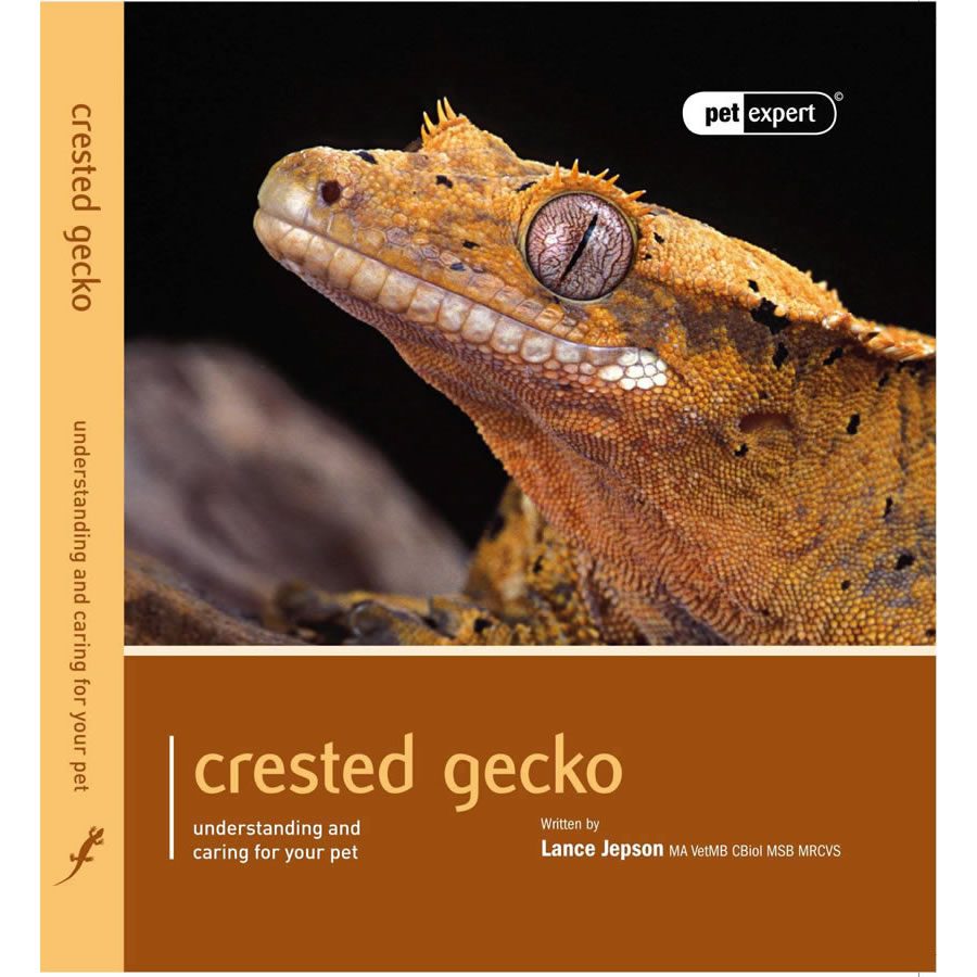 Pet Expert. Crested Gecko