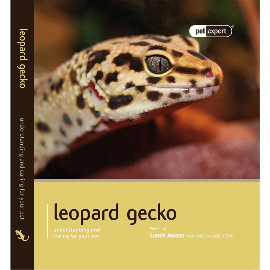 Pet Expert. Leopard Gecko