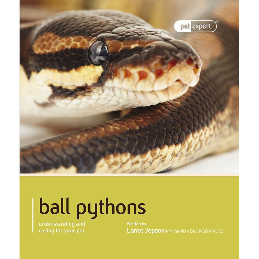 Pet Expert. Ball Pythons