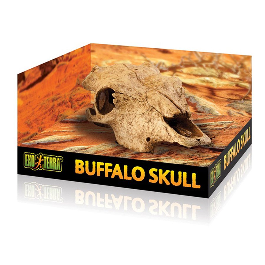 ET Buffalo Skull, PT2857