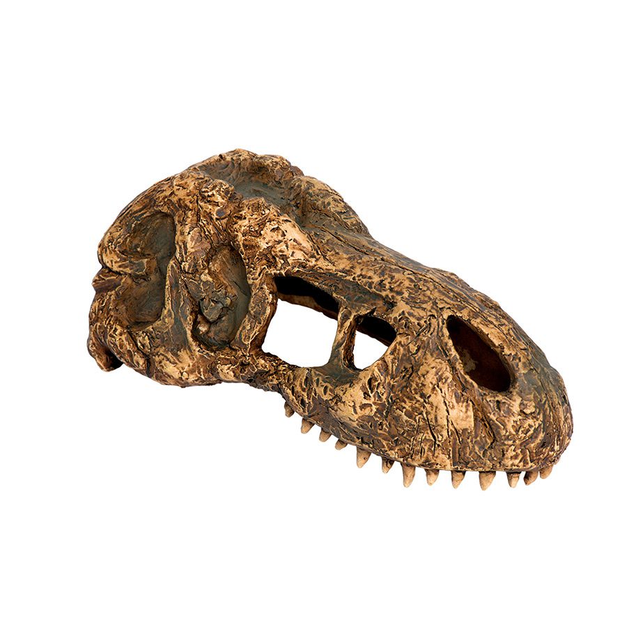ET T-Rex Skull Small, PT2860