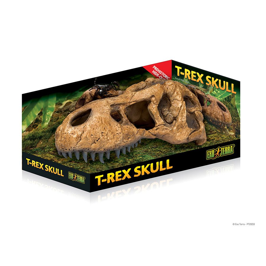 ET T Rex Skull PT2859