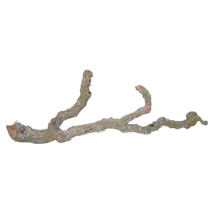 LR Tronchos Branches 90-120cm, DLT-M