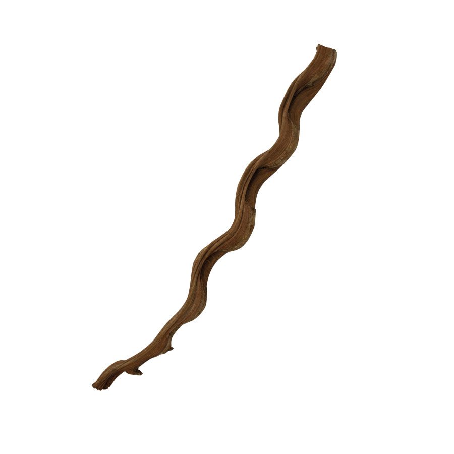 PR Natural Snake Vine, 60cm