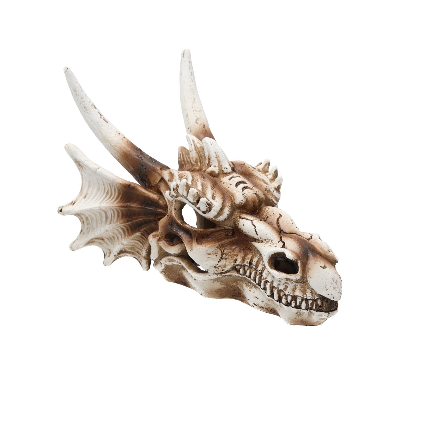 PR Dragon Skull Med 19.5x14.8x13.5cm DPS080