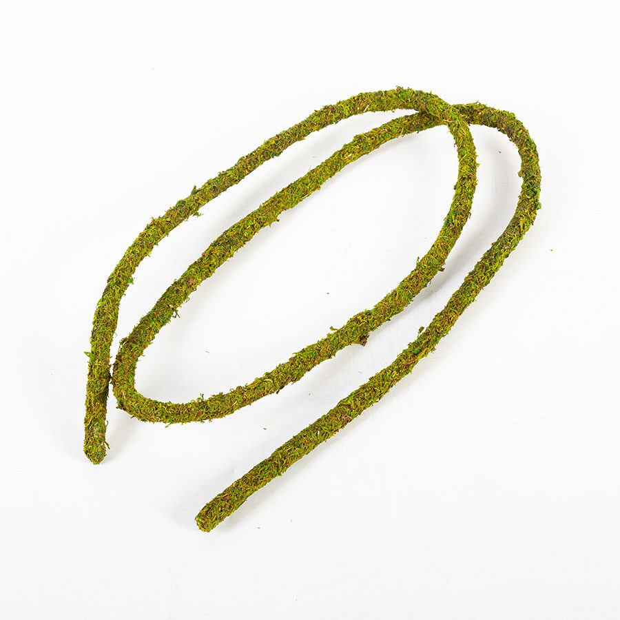 RZ Natural Moss Vine, 200cm x 2cm