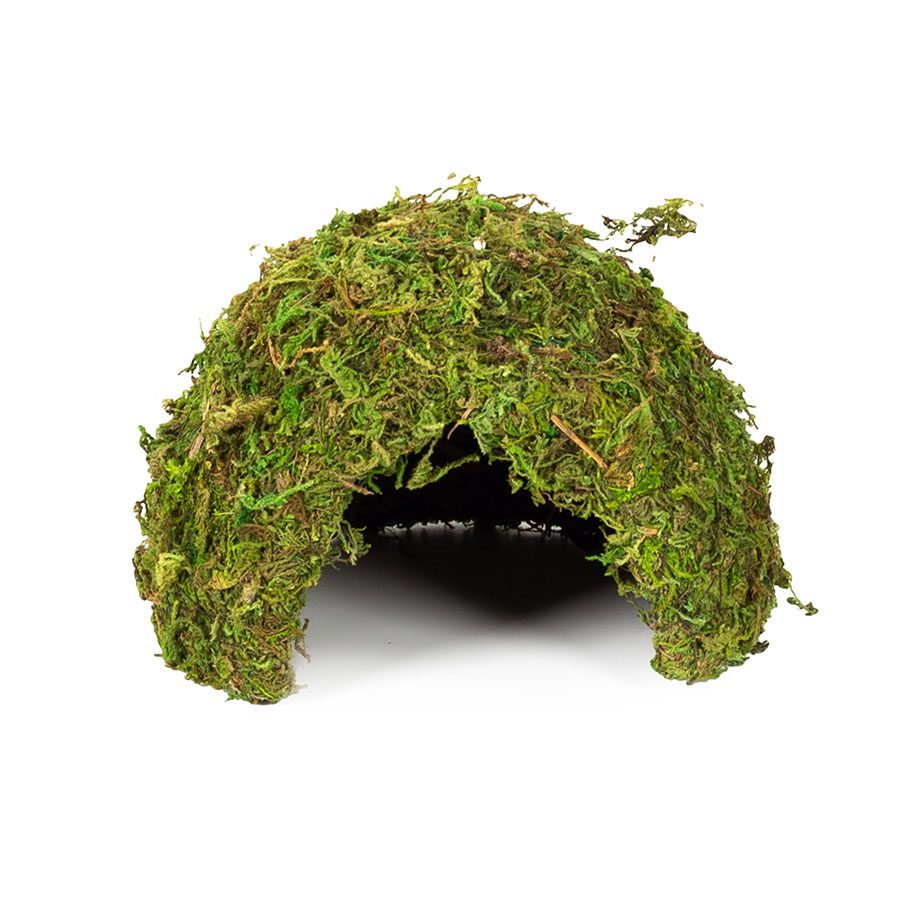 RZ Natural Moss Dome, Medium, 17x17x12cm