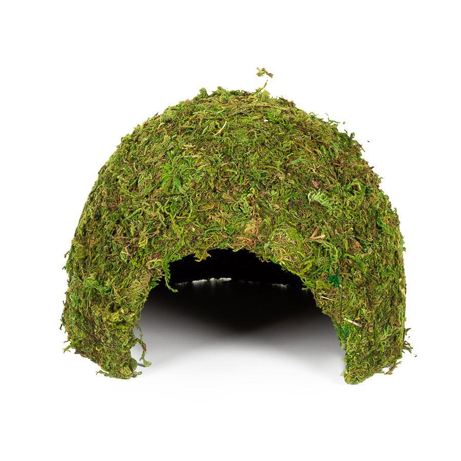 RZ Natural Moss Dome, Large, 23x23x18cm