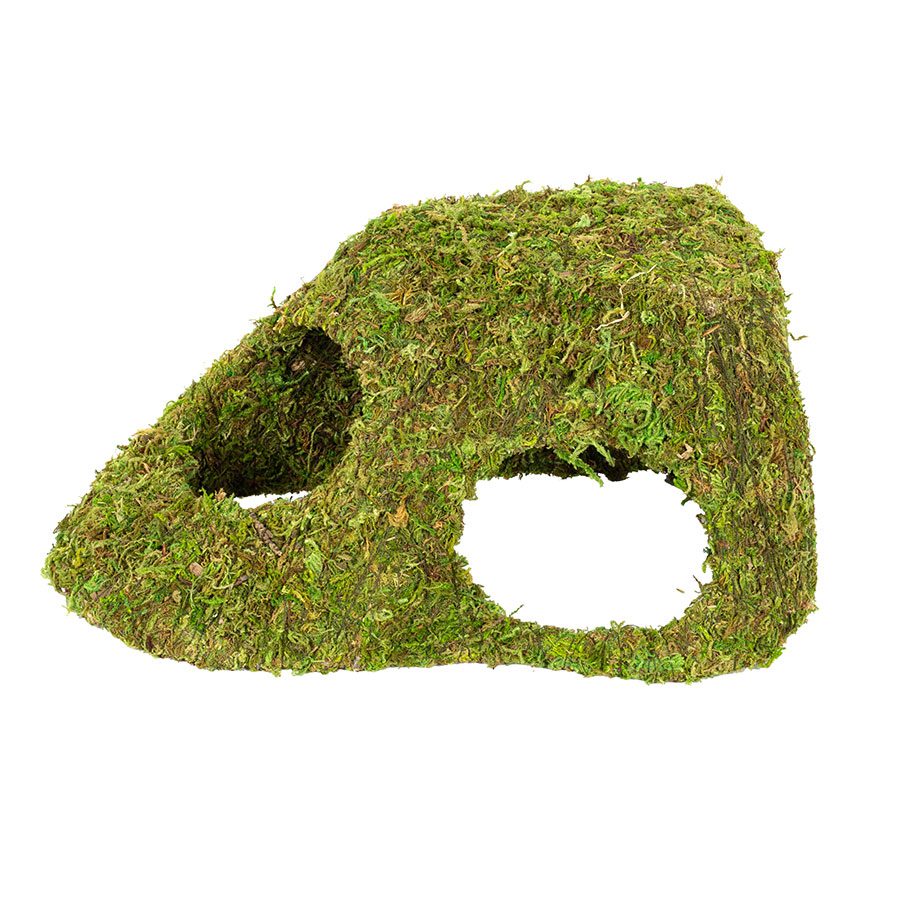 RZ Natural Moss Dome, Xlarge, 25.5x14x11.5cm