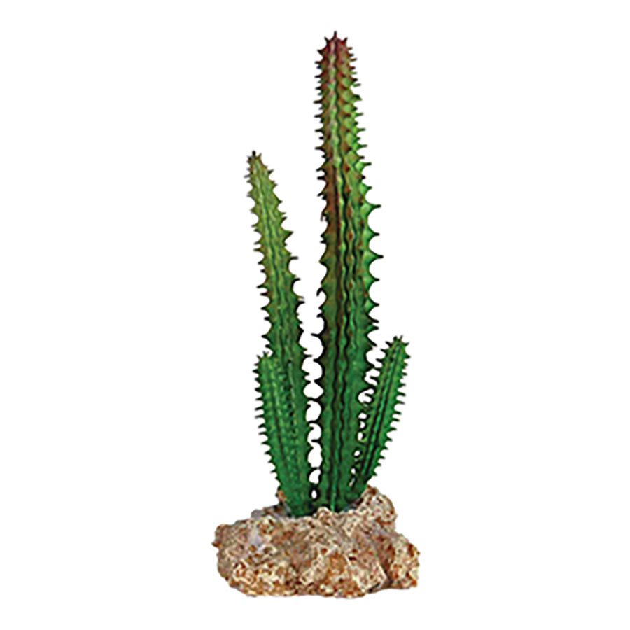 RS Cactus with Rock Base 5.5 x 5 x 14cm FP28706