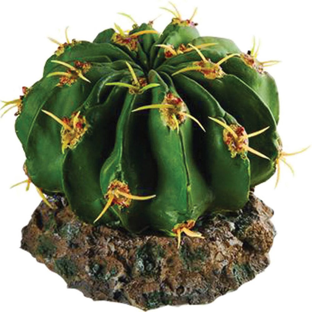 RS Cactus with Rock Base 9.5 x 9.5 x 7cm FP26508