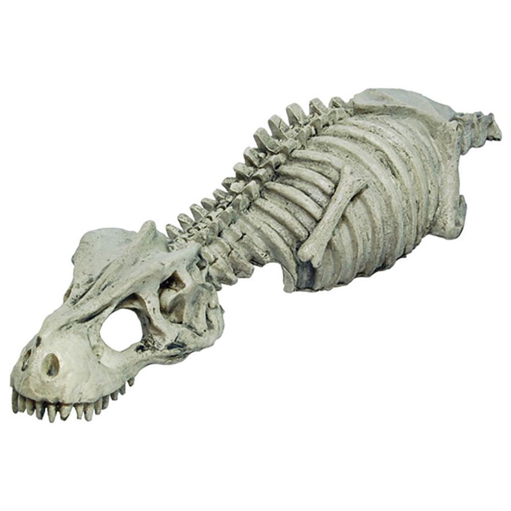RS Skeleton Dinosaur 27 x 8 x 4cm FP62526