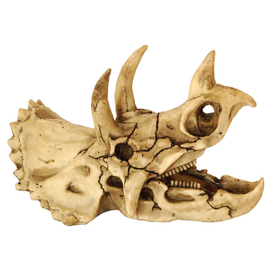 RS Skull Dinosaur 18.5 x 10 x 12.5cm FP20281