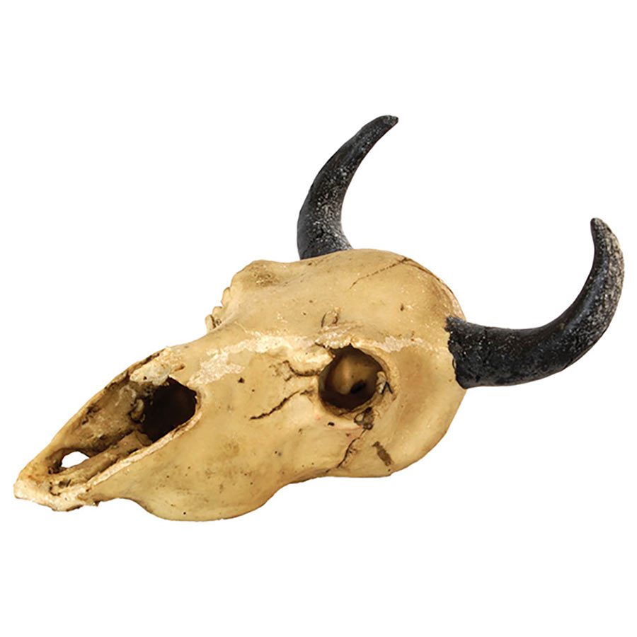 RS Skull Goat 17 x 16.5 x 10cm FP20321