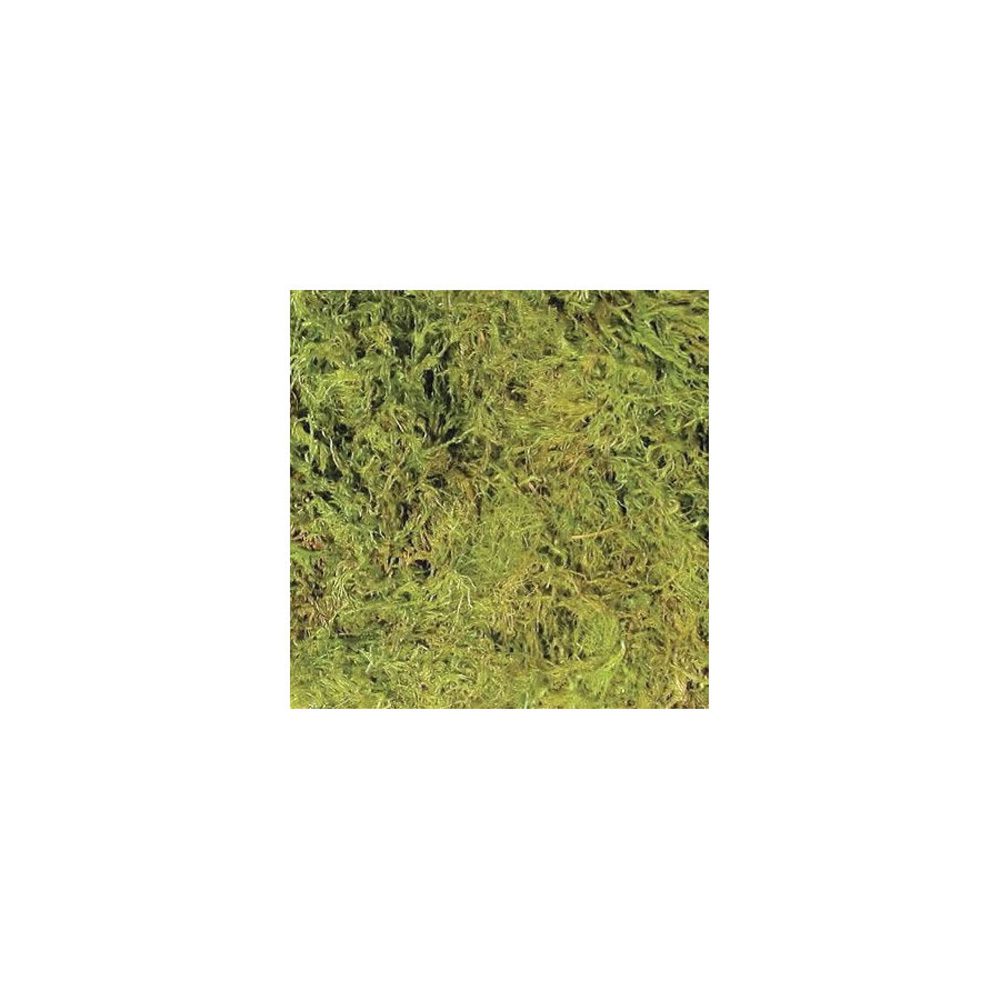 ZM Terrarium Moss, Large 3.28L, CF-2L