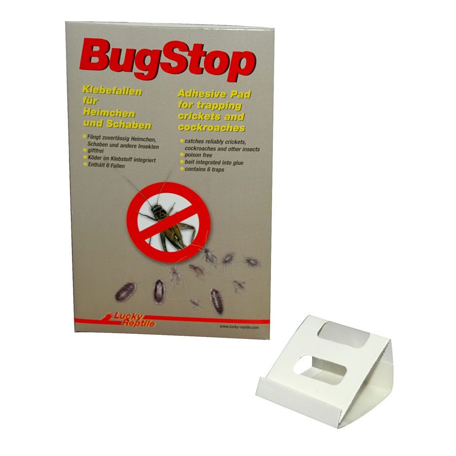 LR BugStop Cricket Trap (6-pack), BS-1