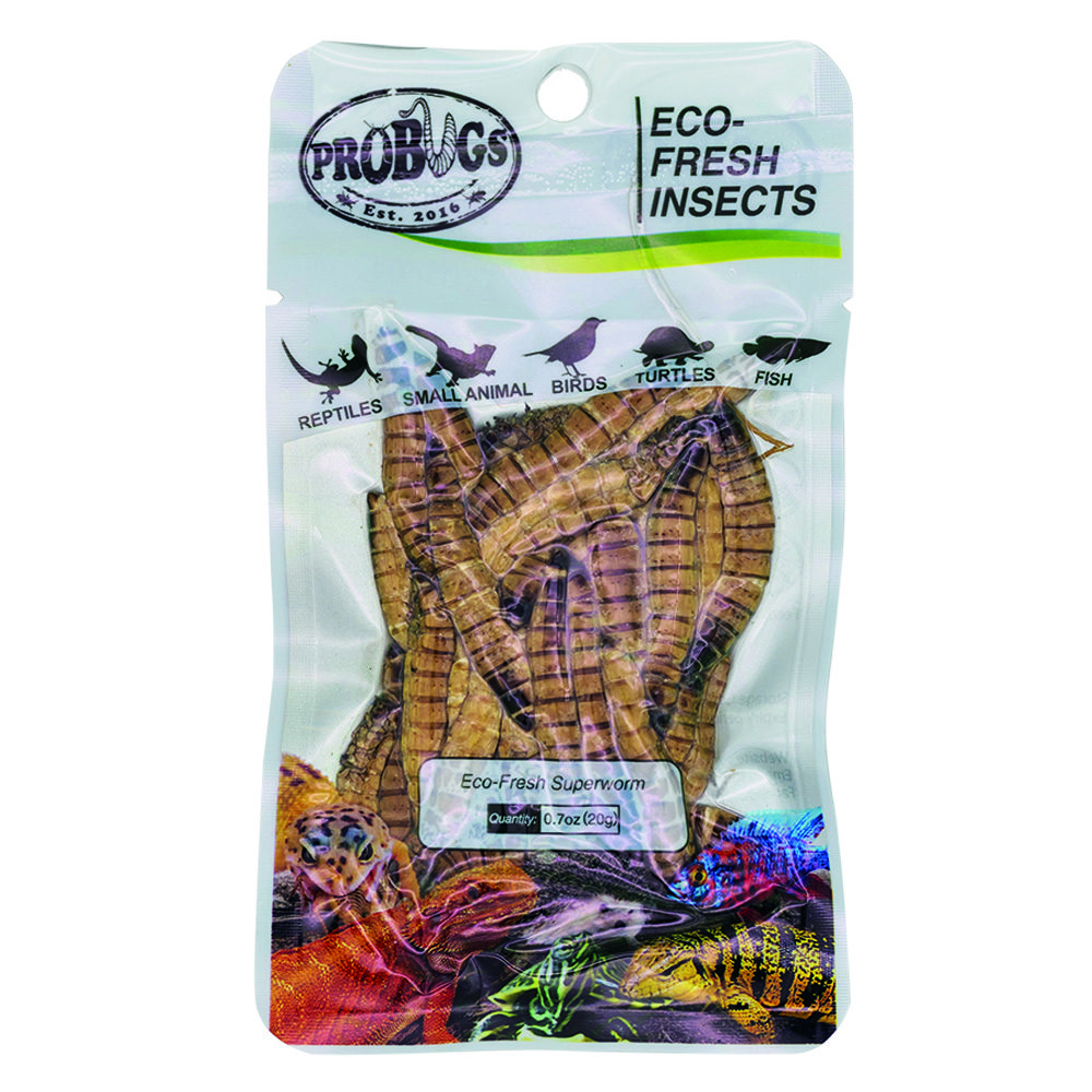 ProBugs 15 PACK Eco Fresh Superworm, 20g