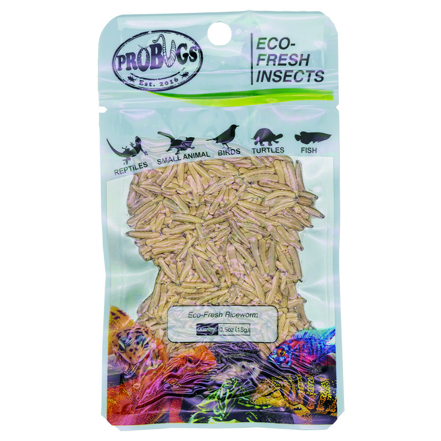 ProBugs 15 PACK Eco Fresh Riceworm, 15g