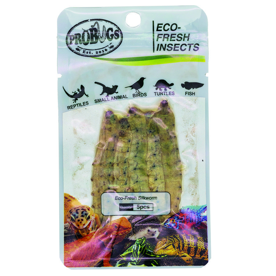 ProBugs 15 PACK Eco Fresh Silkworm, 5pcs