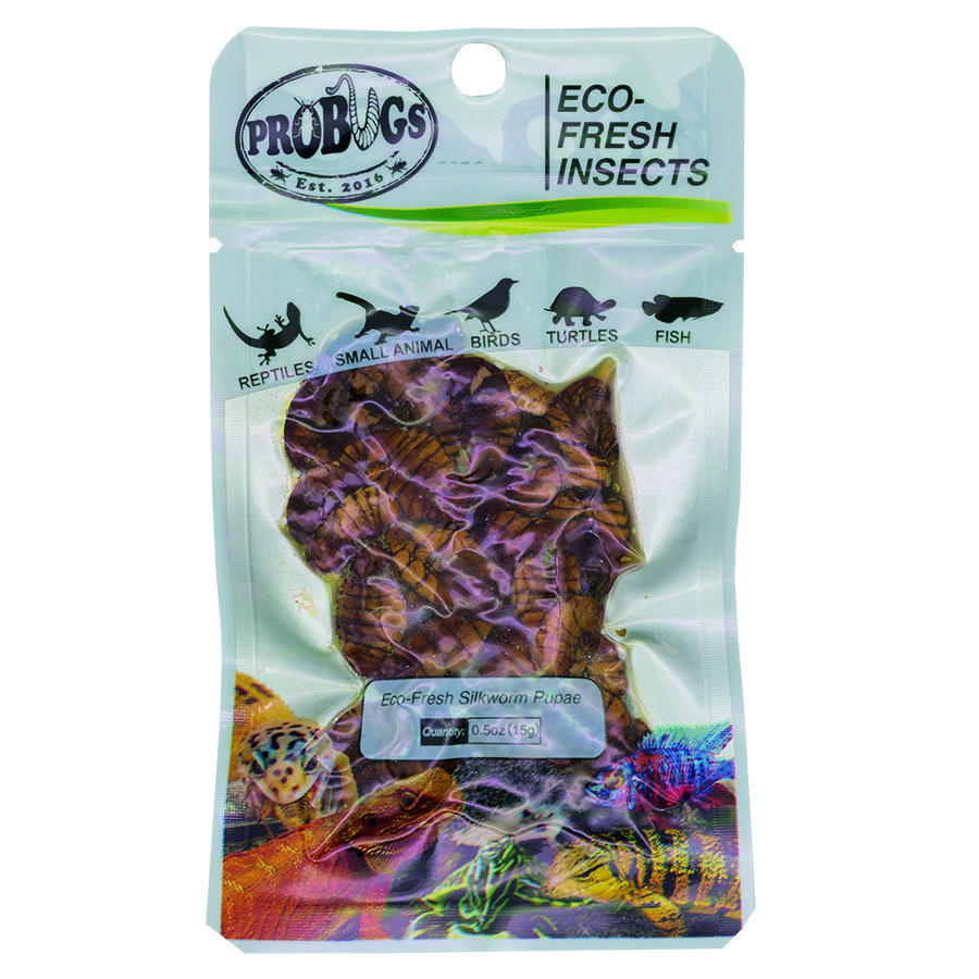 ProBugs 15 PACK Eco Fresh Silkworm pupae, 15g