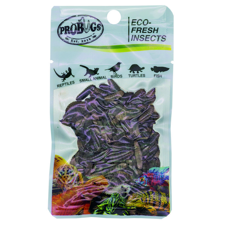 ProBugs 15 PACK Eco Fresh B/Soldier Fly Larvae 20g