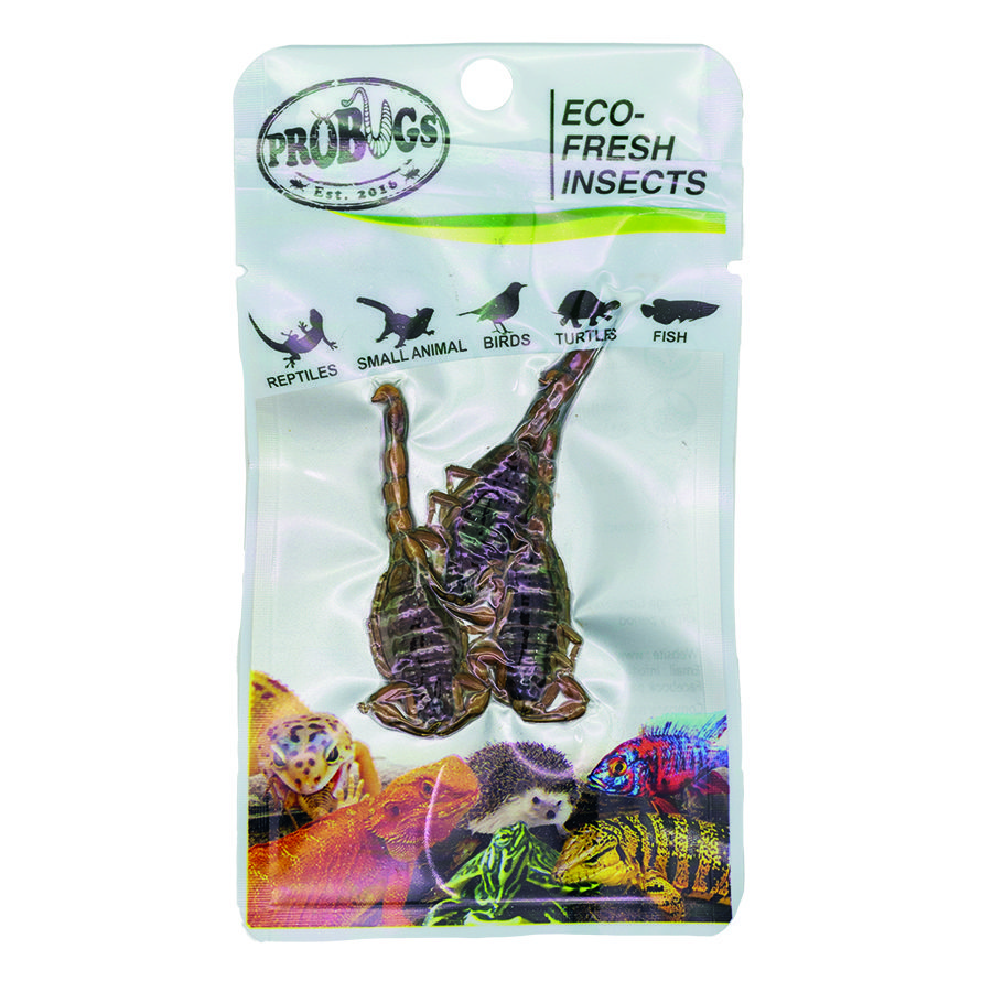 ProBugs 15 PACK Eco Fresh Scorpion, 3pcs