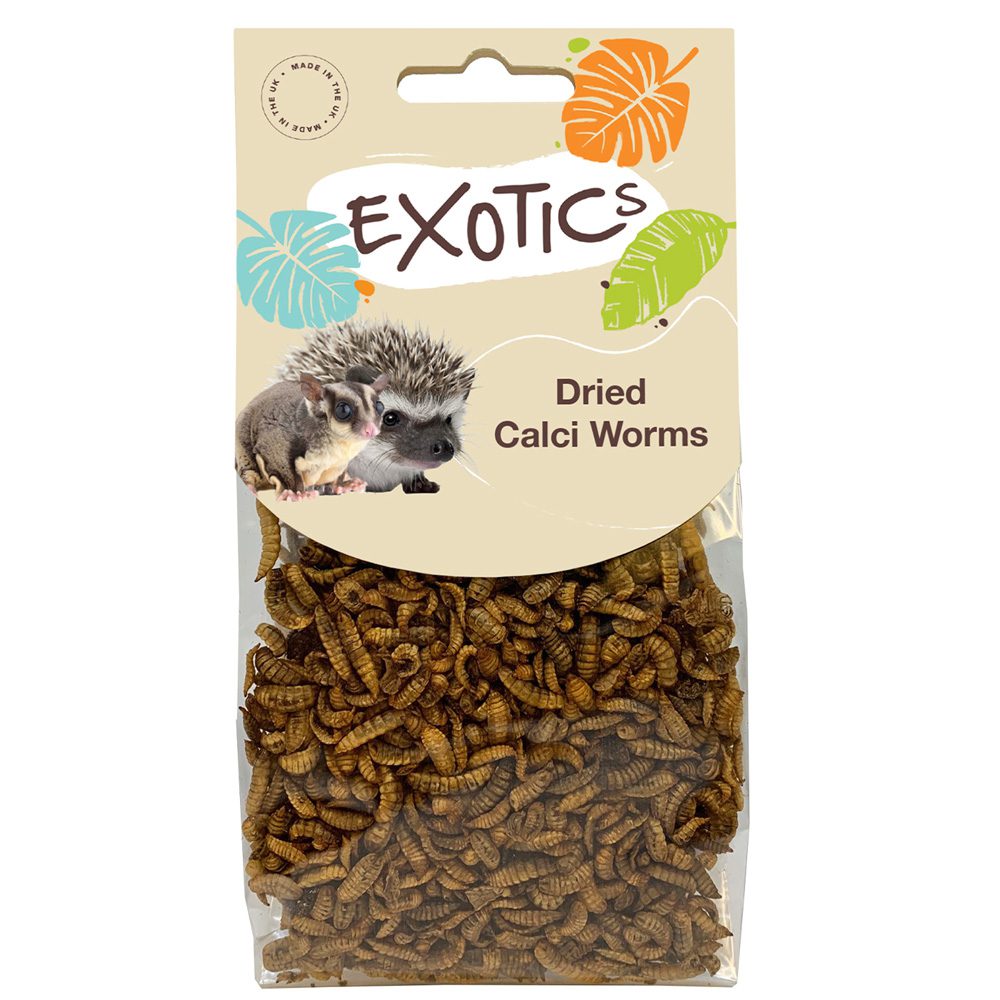 NG Exotics Dried Calci Worms 50g