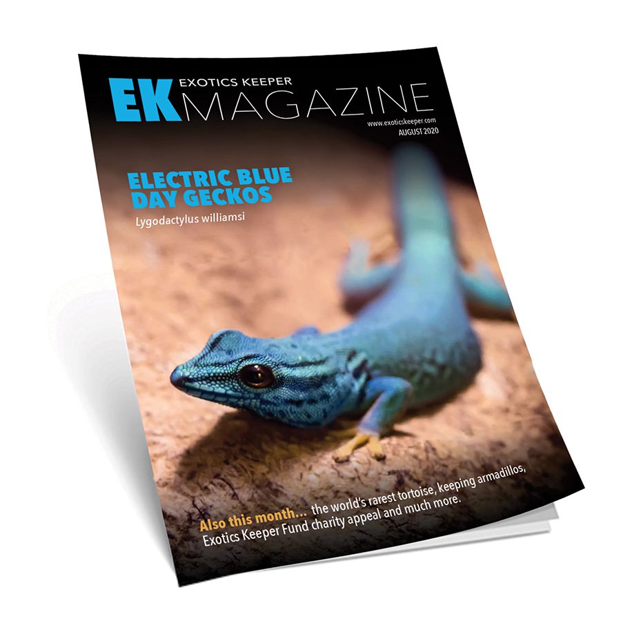 *EK Magazine BUNDLE OF 10 Nov-2020 (Issue 1)