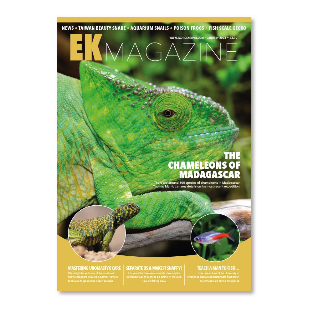 EK Magazine Jan - 2023 (Issue 27)