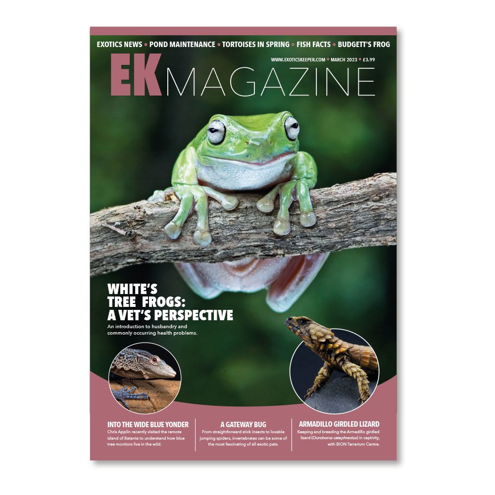 EK Magazine Mar - 2023 (Issue 29)