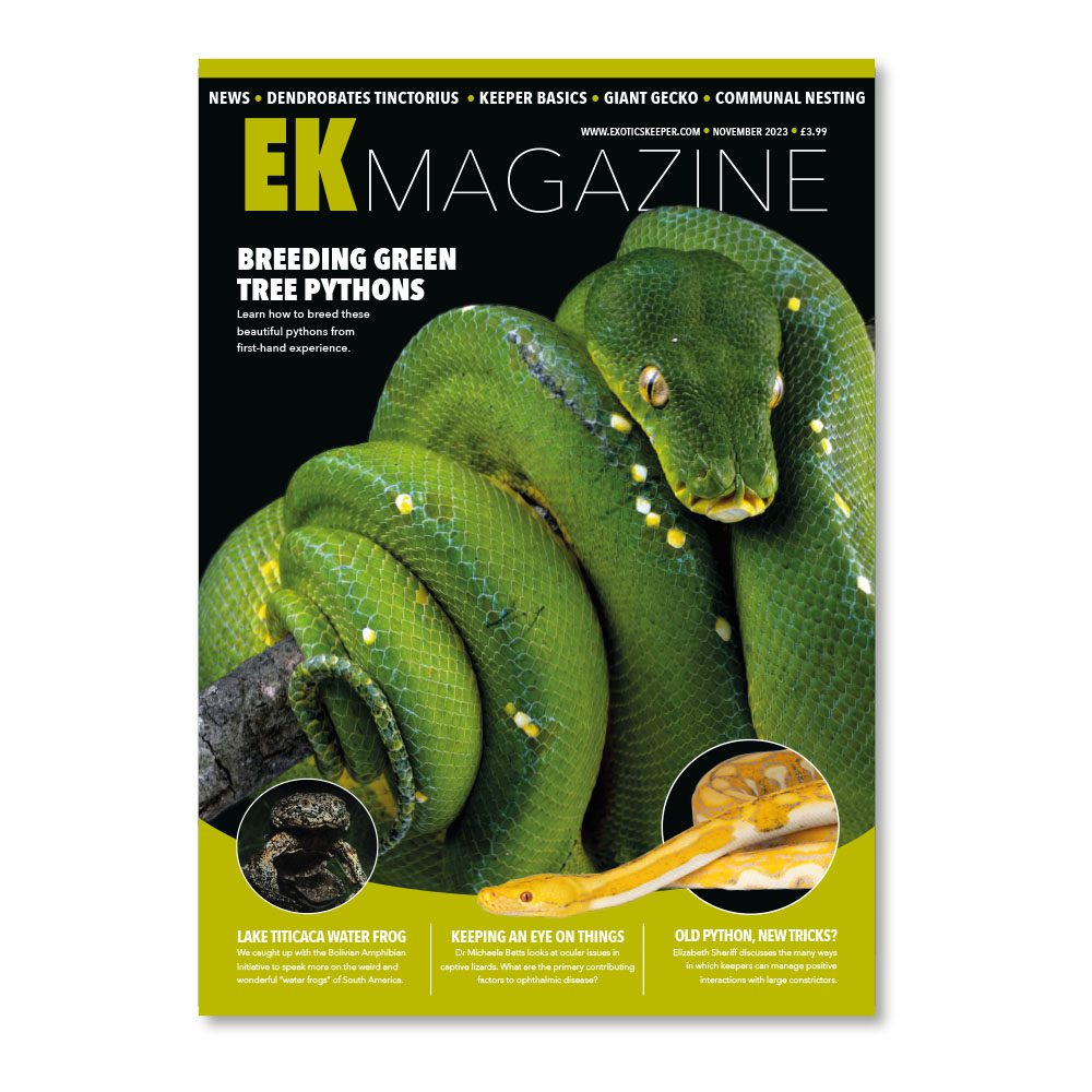 EK Magazine Nov - 2023 (Issue 37)