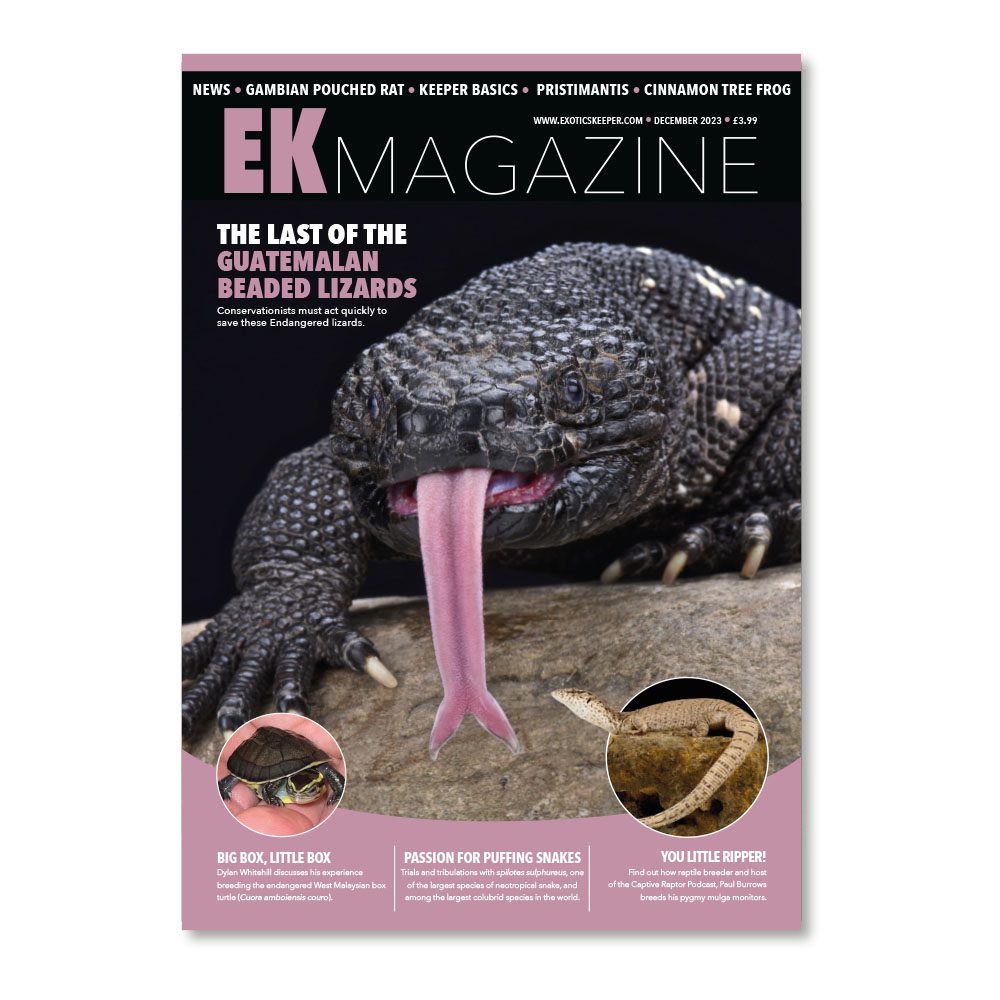 EK Magazine Dec - 2023 (Issue 38)